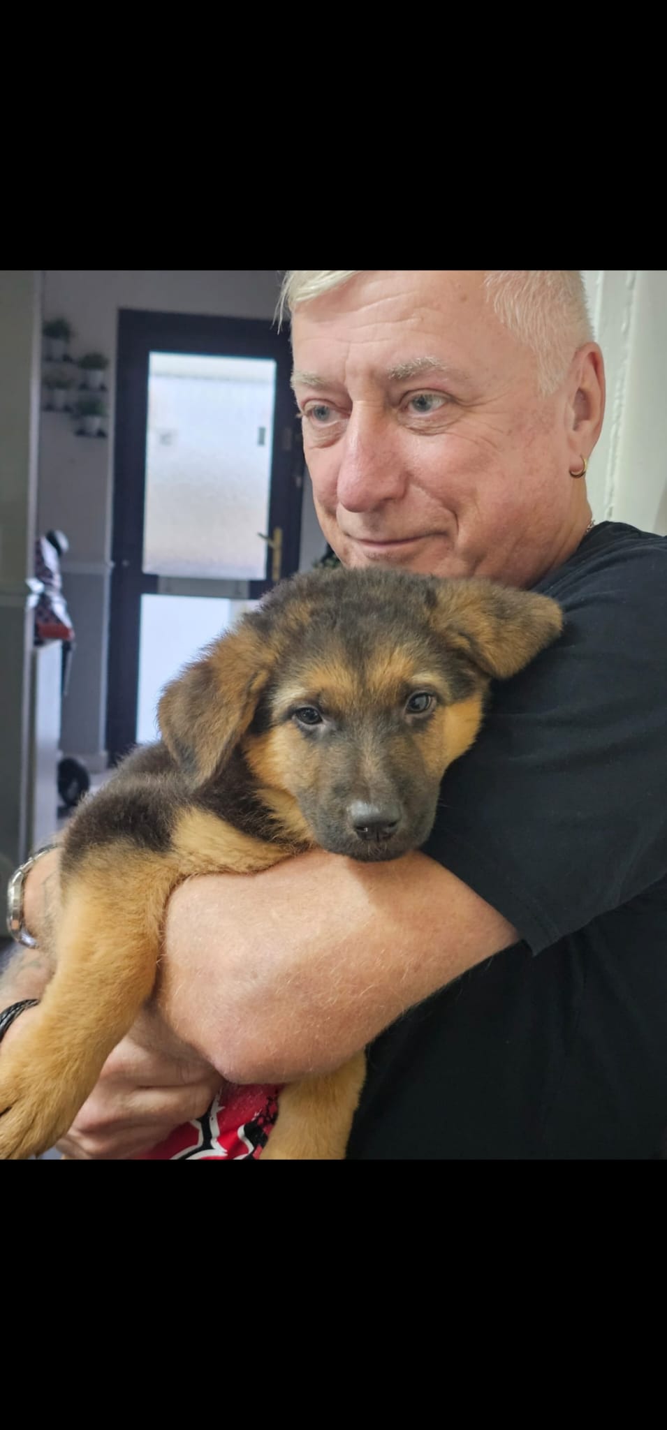 robert whyard adi holding aria german shepard puppy robert whyard adi holding aria german shepard puppy